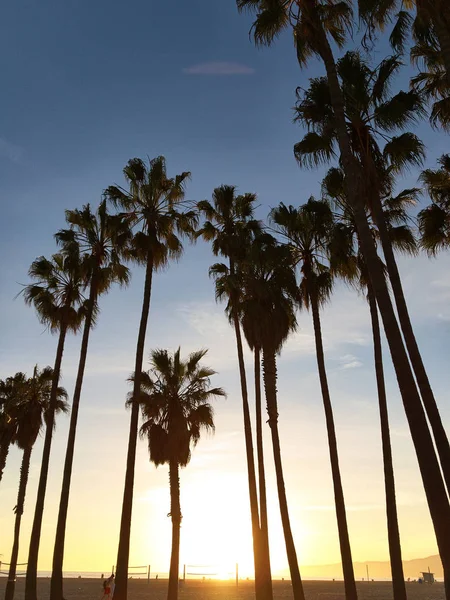 Venice Sahili, Santa Monica, Kaliforniya, ABD - 29 Şubat 2017: Venice Sahili, Santa Monica, Kaliforniya, ABD — Stok fotoğraf