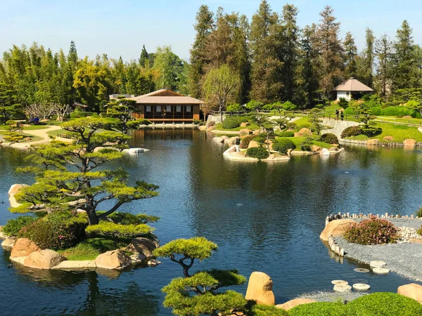Güzel çiçekler ve ağaçlar Japon bahçe içinde