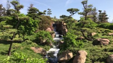 Güzel çiçekler ve ağaçlar Japon bahçe içinde