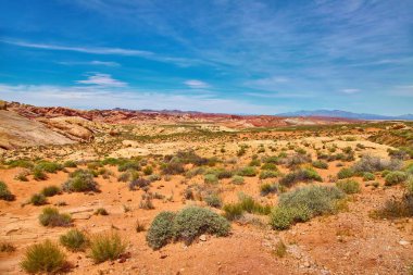 Güney Nevada, yangın State Park vadi, ABD inanılmaz güzel manzara