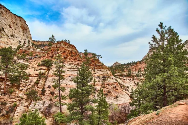 Increíblemente hermoso paisaje en el Parque Nacional Zion, Condado de Washington, Utah, EE.UU. —  Fotos de Stock