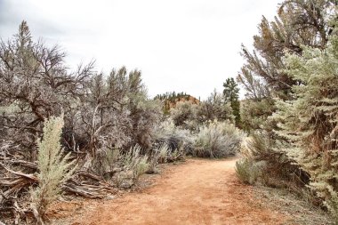 Bryce Canyon Milli Parkı, Utah, ABD inanılmaz güzel manzara