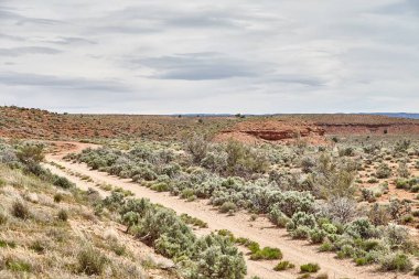 Milli Parkı, Utah inanılmaz güzel manzara