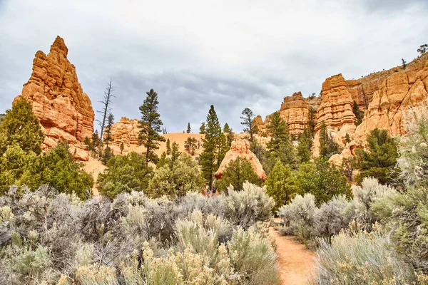 Increíblemente hermoso paisaje en Bryce Canyon National Park, Utah, EE.UU. —  Fotos de Stock