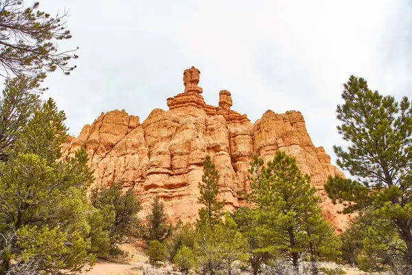 Increíblemente hermoso paisaje en Bryce Canyon National Park, Utah, EE.UU. —  Fotos de Stock