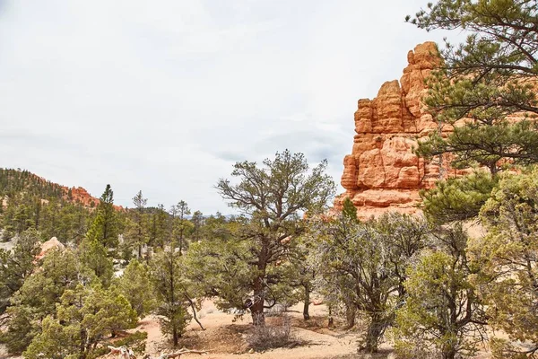 Increíblemente hermoso paisaje en Bryce Canyon National Park, Utah, EE.UU. —  Fotos de Stock