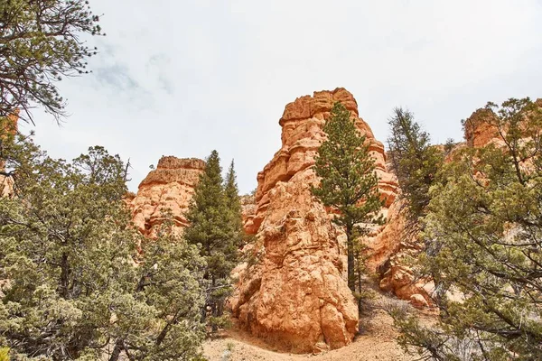Increíblemente hermoso paisaje en Bryce Canyon National Park, Utah, EE.UU. —  Fotos de Stock