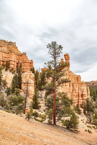 Incredibly beautiful landscape in Bryce Canyon National Park, Utah, USA — Stock Photo, Image