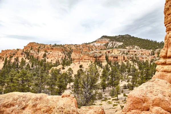 Increíblemente hermoso paisaje en Bryce Canyon National Park, Utah, EE.UU. —  Fotos de Stock