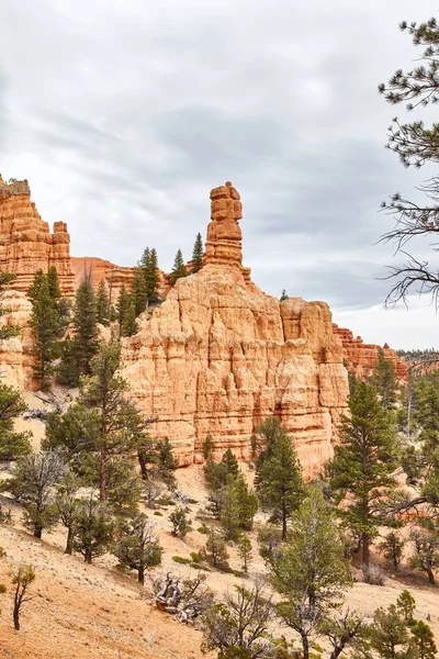 Increíblemente hermoso paisaje en Bryce Canyon National Park, Utah, EE.UU. —  Fotos de Stock