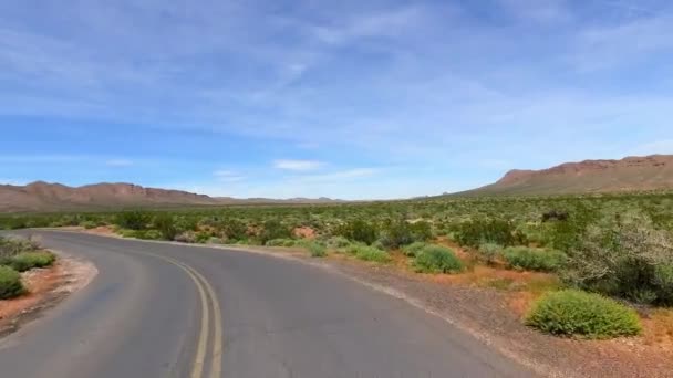 Неймовірно красивий ландшафт на півдні штату Невада, Долина вогонь State Park США. Гладка камери рух на дорозі. — стокове відео