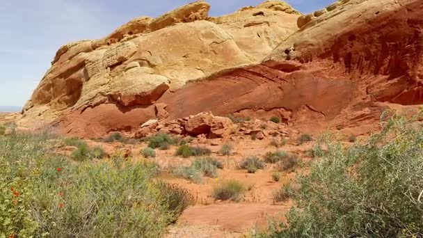 Pemandangan yang sangat indah di Nevada Selatan, Valley of Fire State Park USA. Gerakan kamera yang halus — Stok Video