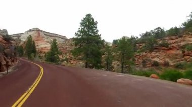 Zion National Park, Washington County, Utah ABD inanılmaz güzel manzara. Yol boyunca pürüzsüz kamera hareketi.