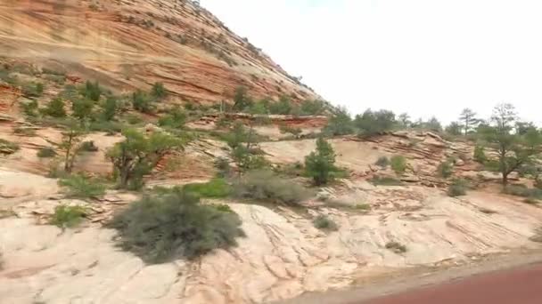 Ongelooflijk mooi landschap in Nationaal Park Zion, Washington County, Utah Usa. Vloeiende camerabewegingen langs de weg. — Stockvideo