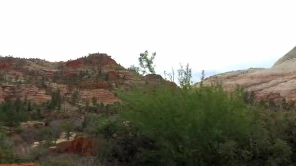 Incredibly beautiful landscape in Zion National Park, Washington County, Utah USA. Smooth camera movement along the road. — Stock Video