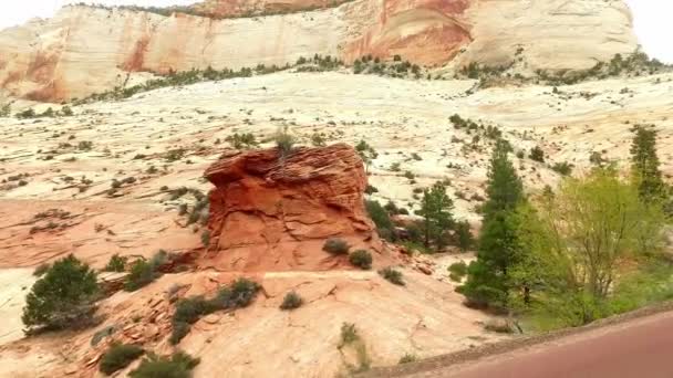 Ongelooflijk mooi landschap in Nationaal Park Zion, Washington County, Utah Usa. Vloeiende camerabewegingen langs de weg. — Stockvideo