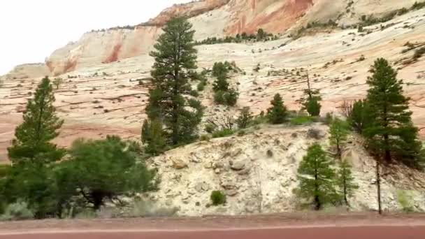 Paisagem incrivelmente bonita no Parque Nacional de Zion, Condado de Washington, Utah EUA. Movimento suave da câmera ao longo da estrada . — Vídeo de Stock