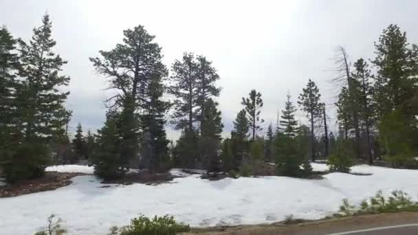 Increíblemente hermoso paisaje en Bryce Canyon carretera de primavera conducción POV. Formación geológica erosión del agua del tiempo. Naturaleza paisaje ecológico sensible y destino turístico — Vídeos de Stock