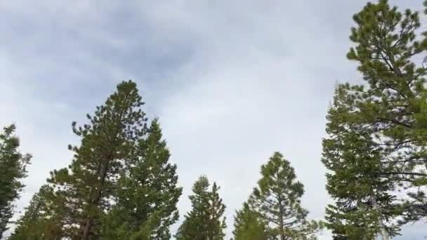 Increíblemente hermoso paisaje en Bryce Canyon carretera de primavera conducción POV. Formación geológica erosión del agua del tiempo. Naturaleza paisaje ecológico sensible y destino turístico — Vídeo de stock