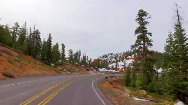 Incredibly beautiful landscape in Bryce Canyon spring road driving POV. Geological formation weather water erosion. Nature ecological sensitive landscape and tourist destination — Stock Video