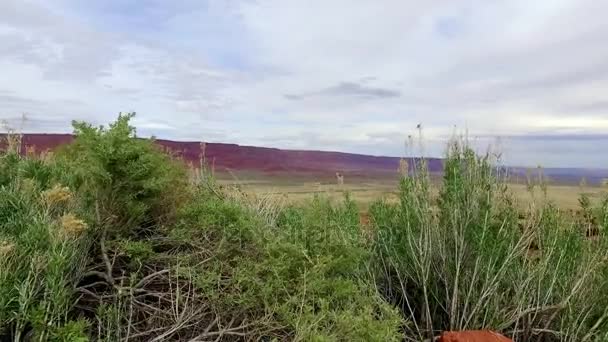 Otroligt vackra våren landskap i Bryce Canyon. Geologisk formation väder vattnets erosion. Natur ekologisk känsliga landskap och turist destination — Stockvideo
