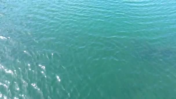 Blue water of the Pacific Ocean. Warm summer day — Stock Video