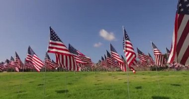 Amerikan bayrakları rüzgarda anma gününde çırpınan kümesi. Los Angeles, Kaliforniya, ABD