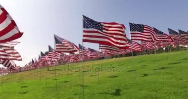 Amerikan bayrakları rüzgarda anma gününde çırpınan kümesi. Los Angeles, Kaliforniya, ABD