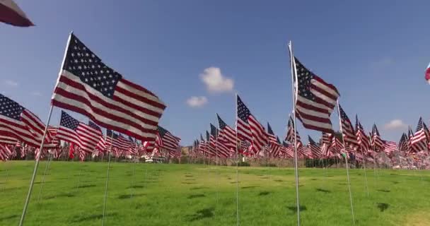 Σετ από αμερικανικές σημαίες κυματίζουν στον αέρα για την ημέρα μνήμης. Λος Άντζελες, Καλιφόρνια, ΗΠΑ — Αρχείο Βίντεο