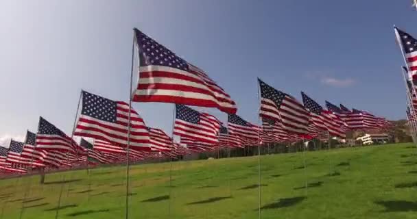 Σετ από αμερικανικές σημαίες κυματίζουν στον αέρα για την ημέρα μνήμης. Λος Άντζελες, Καλιφόρνια, ΗΠΑ — Αρχείο Βίντεο