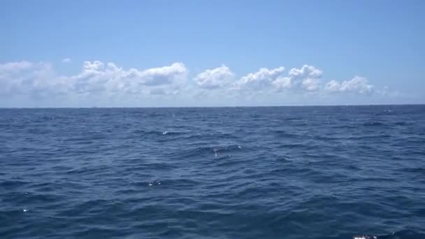 Vista do barco flutuando nas ondas no Mar do Caribe quente. Cancún México. Verão dia ensolarado, céu azul com nuvens — Vídeo de Stock