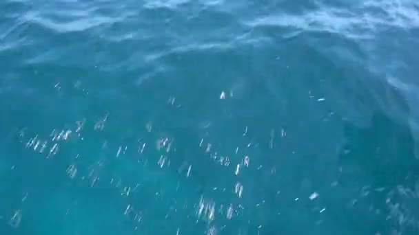 Sentier sur la surface de l'eau derrière le catamaran à moteur en mouvement rapide dans la mer des Caraïbes Cancun Mexique. Journée ensoleillée d'été 