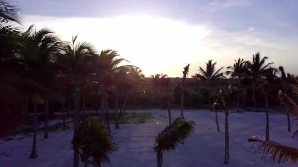 Letecký dron zastřelen. Kamera pomalu letí nad kokosové palmy. Krásný západ slunce na pobřeží Karibského moře. Riviera Maya, Quintana Roo, Mexiko — Stock video