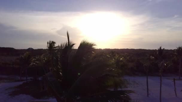 Um drone aéreo disparado. A câmera voa lentamente sobre as coqueiros. Belo pôr do sol na costa do Mar das Caraíbas. Riviera Maya, Quintana Roo, México — Vídeo de Stock