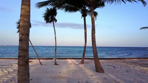 Drone антена постріл. Камера повільно летить між кокосових пальм. Гарний захід сонця на узбережжі Карибського моря. Рів'єра-Майя, Кінтана-Роо, Мексика — стокове відео
