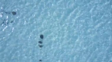 Hava dron vurdu. Bir görünüm üzerinden bir kuş bakışı görünüme mercanlar. Kamerayı aşağı görünüyor ve hızlı bir şekilde su üzerinde uçar. Turkuaz su Karayip Denizi. Riviera Maya Meksika