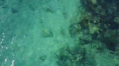 Hava dron vurdu. Kamera aşağı görünüyor ve hızlı bir şekilde su üzerinde uçar. O zaman ufuk doğru yükselir. Sinema vurdu. Turkuaz su Karayip Denizi. Riviera Maya Meksika