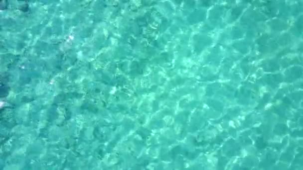 空中ドローンを撃った。鳥の目からサンゴのビューを表示します。カメラは、見下ろすし、ゆっくりと上昇します。カリブの海の青緑色の水。リビエラマヤ、メキシコ — ストック動画