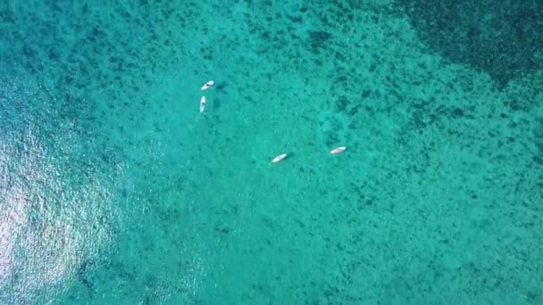 Um drone aéreo disparado. Vista de corais de uma visão de olho de pássaros. Surfistas levantam-se a bordo de remo. A câmera olha para baixo e voa para a frente lentamente. Água azul-turquesa do Mar do Caribe. Riviera Maya México — Vídeo de Stock