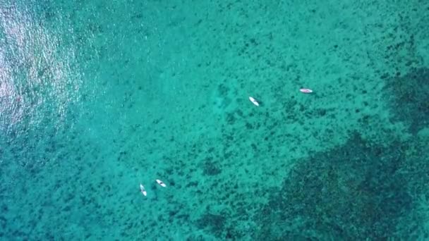 Aerial drone shot. View of corals from a birds eye view. Surfers stand up paddle boarding. The camera looks down and flies forward slowly. Turquoise water of the Caribbean Sea. Riviera Maya Mexico — Stock Video