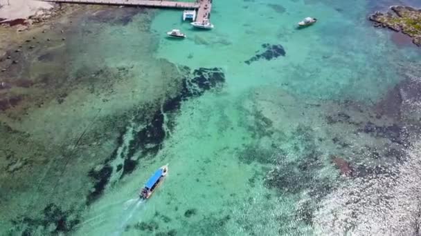 空中ドローンを撃った。鳥の目のビューからの距離でダイバーとボートの上から表示します。カリブの海の青緑色の水ビュー サンゴ海岸。リビエラマヤ、メキシコ — ストック動画