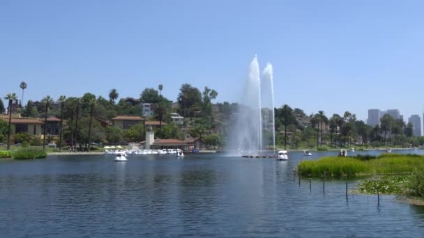 LOS ANGELES, CALIFORNIA, USA - August 28, 2019: Echo Park Lake. The jets of the fountain hit high. People go boating. Warm sunny day. — Stock Video