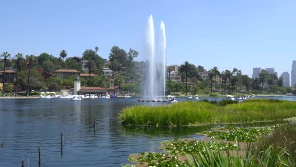 Los Angeles, Kalifornie, USA - 28. srpna 2019: Echo Park Lake. Trysky fontány dopadly vysoko. Lidé jezdí na lodích. Teplý slunečný den. — Stock video
