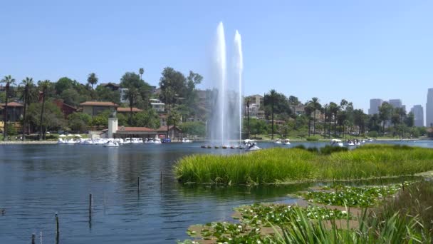 Los Angeles, Kalifornia, Egyesült Államok - 2019. augusztus 28.: Echo Park Lake. A szökőkút fúvókái magasra csapódtak. Az emberek hajókázni járnak. Meleg napsütéses nap. — Stock videók