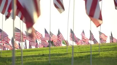 Günbatımında Anma Günü 'nde rüzgarda dalgalanan Amerikan bayrakları. Los Angeles, Kaliforniya, Usa. Düşük açı. Lens fişeği. Yeşil çimenli tarla.