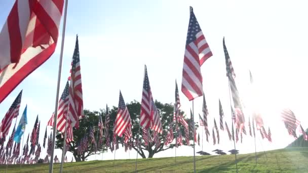 Set de banderas americanas ondeando en el viento en el Memorial Day On the Sunset. Los Ángeles, California, EE.UU. Vista de ángulo bajo. Lente de bengala. Campo con hierba verde . — Vídeos de Stock