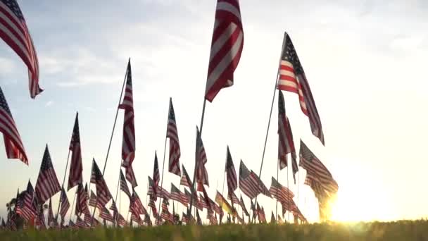 Günbatımında Anma Günü 'nde rüzgarda dalgalanan Amerikan bayrakları. Los Angeles, Kaliforniya, Usa. Düşük açı. Lens fişeği. Yeşil çimenli tarla. — Stok video