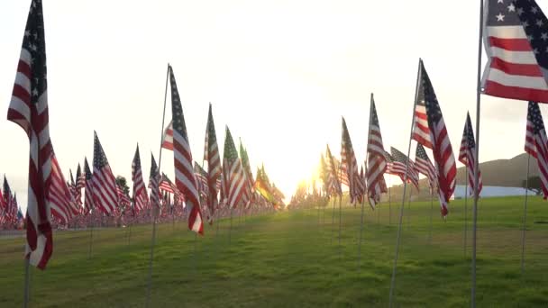 Uppsättning amerikanska flaggor fladdrar i vinden på minnesdagen på solnedgången. Los Angeles, Kalifornien, Usa. Låg vinkel vy. Lins blossar upp. Fält med grönt gräs. — Stockvideo