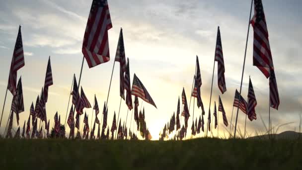 Amerikanische Flaggen flatterten am Gedenktag bei Sonnenuntergang im Wind. los angeles, Kalifornien, USA. Blick in den niedrigen Winkel. Linsenschlag. Feld mit grünem Gras. — Stockvideo