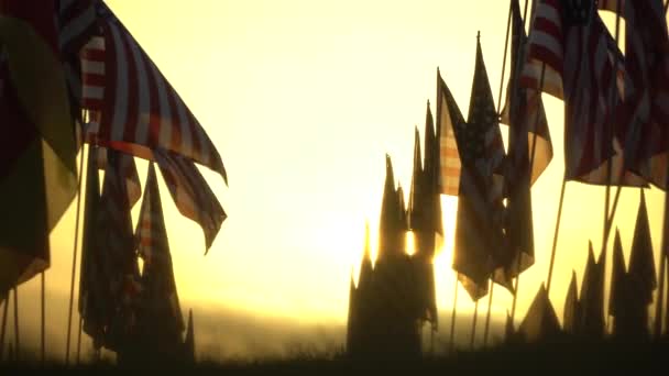 Zestaw amerykańskich flag wiszących na wietrze w Dzień Pamięci o zachodzie słońca. Los Angeles, Kalifornia, Usa. Niski kąt widzenia. Rozbłysk soczewki. Pole z zieloną trawą. — Wideo stockowe